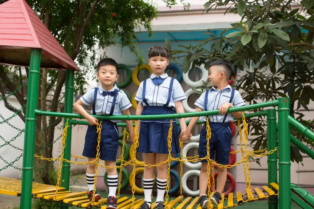 青岛嘉暖家家政服务标准化作业流程与质量管控要点解析