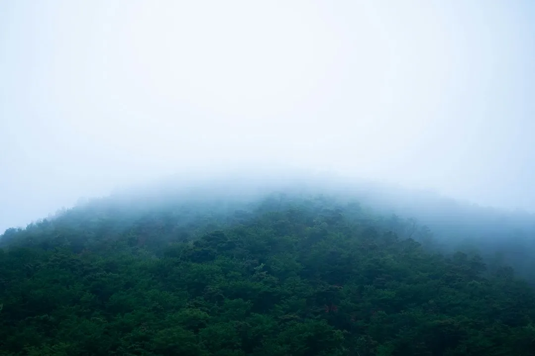 青岛家政服务选择指南：如何根据家庭需求匹配保洁与老人护理方案
